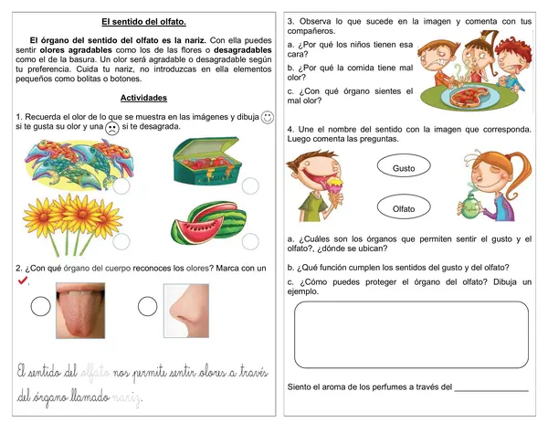 Guía 1° básico "El sentido del olfato"