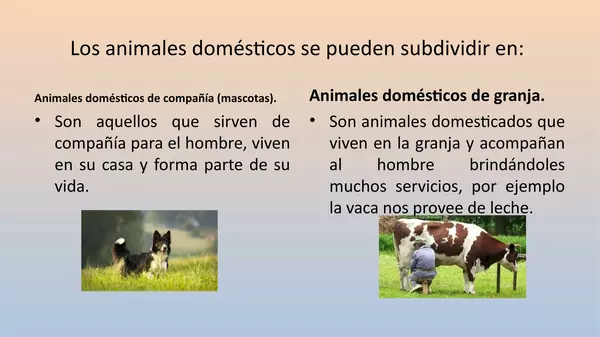 PRESENTACION KINDER,  ANIMALES DOMESTICOS CON VIDEO "LOS GATOS"