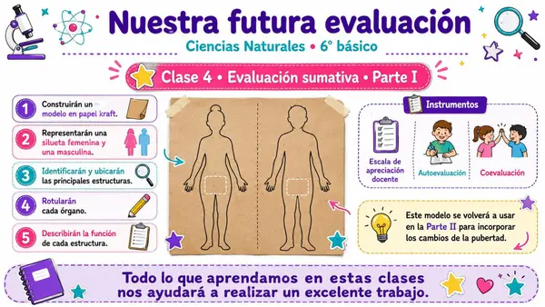 Clase Sistema Reproductor Masculino
