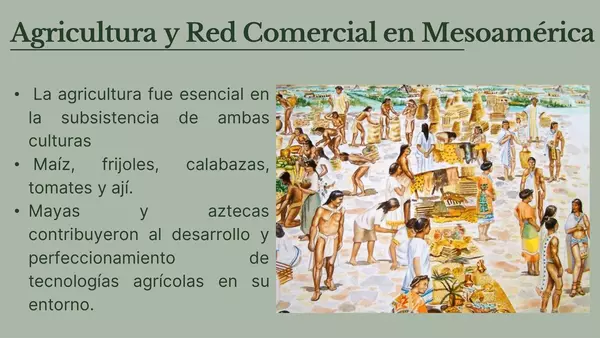 Comercio y agricultura Maya y Azteca