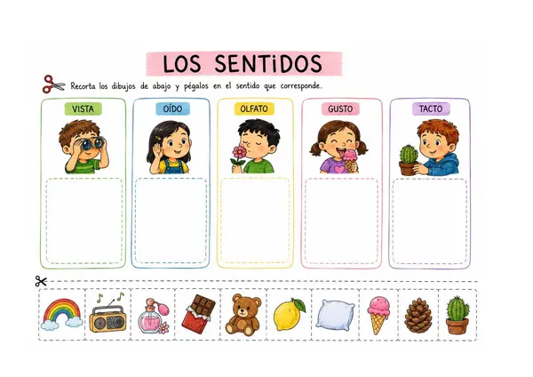 Actividades  ciencias naturales 1° básico