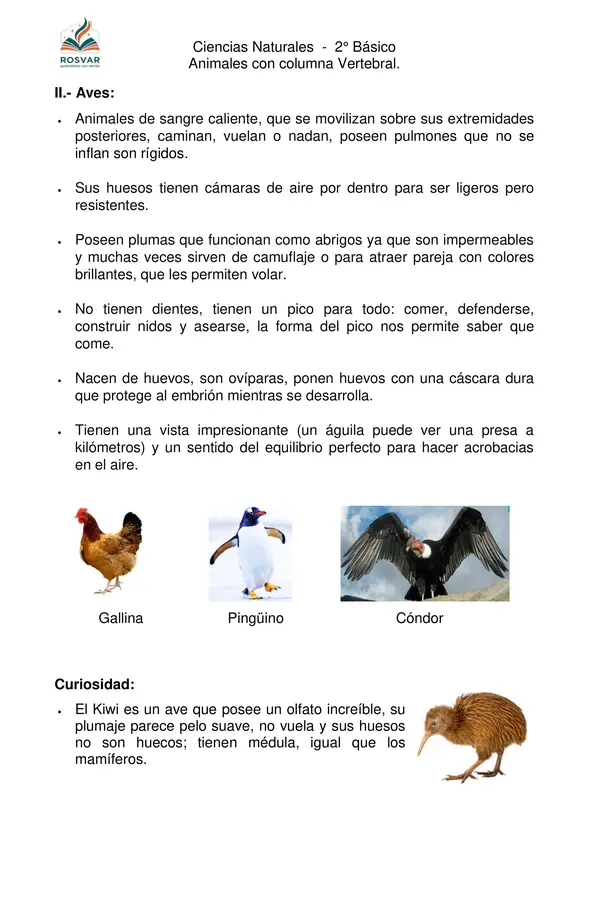 Animales con columna vertebral - 2° Básico - OA1