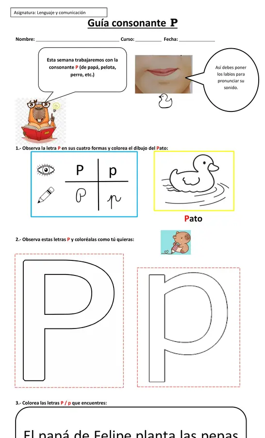 Guía de aprendizaje de lenguaje Primero Básico 