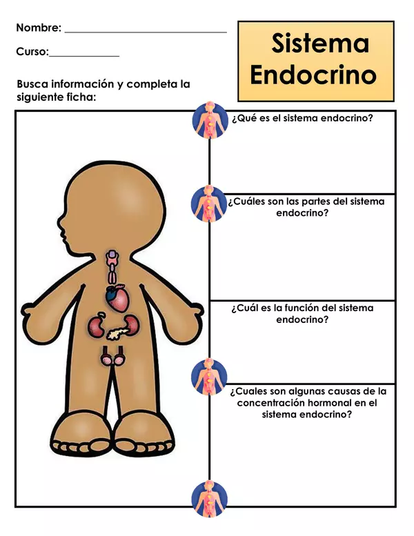 Guía de trabajo - Sistema endocrino