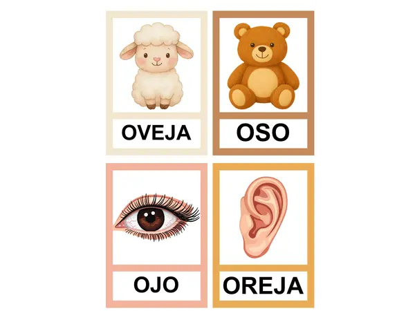 láminas vocal o 