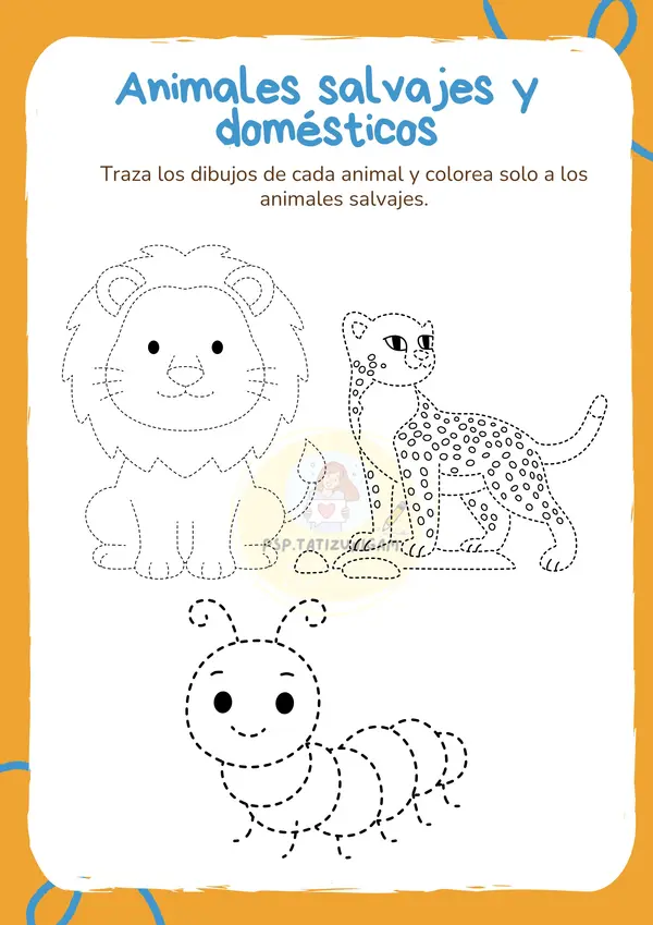 Cuadernillo Pre-básica de habilidades previas a la lectoescritura (PARTE 2)