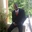 Jean Elie Petit-Homme - @jeaneliepetithomme