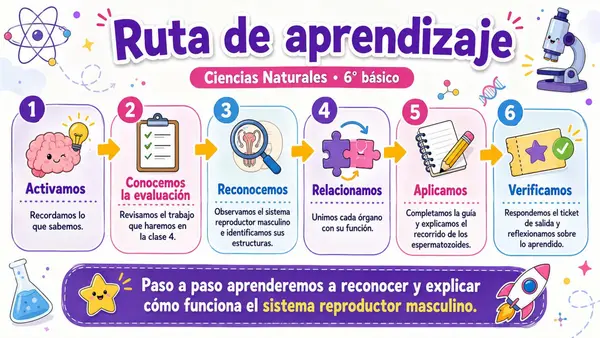 Clase Sistema Reproductor Masculino