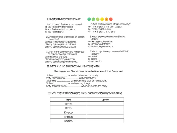 Opinions and Feelings Worksheet - 7th Grade English