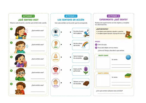 Actividades  ciencias naturales 1° básico