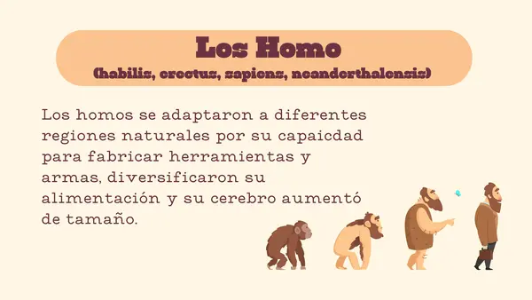 Principales aspectos de la evolución humana 