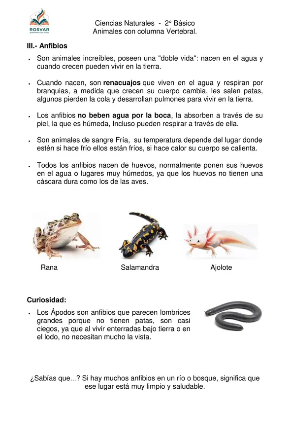 Animales con columna vertebral - 2° Básico - OA1