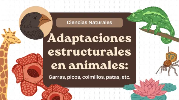 Adaptaciones estructurales en animales