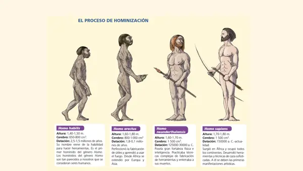 Principales aspectos de la evolución humana 