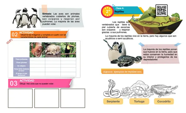 Vertebrados e invertebrados 