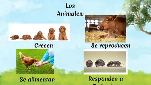 Características animales