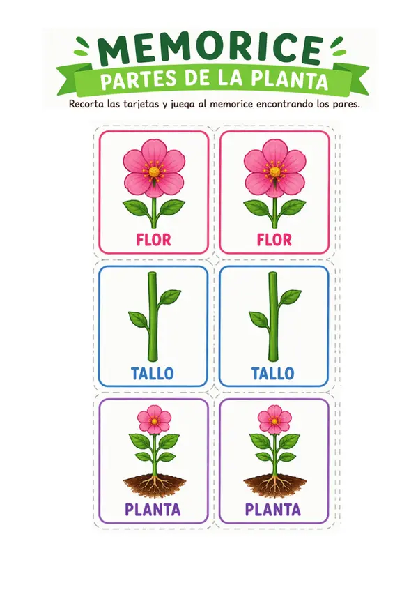 🌱 Juego de Memoria: Partes de la Planta – Actividad Educativa para Ciencias Naturales