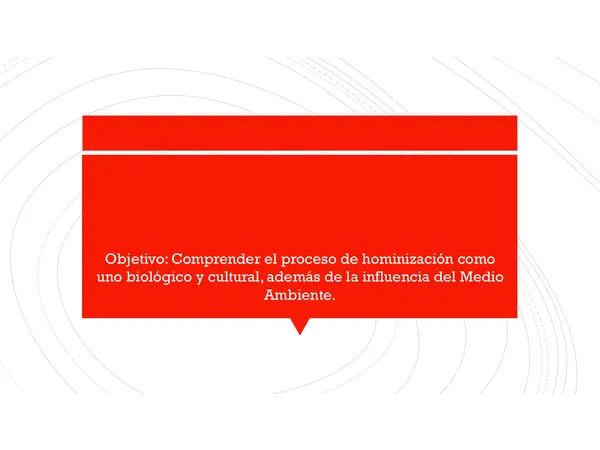 Hominizacion