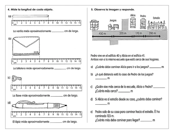 Guía de trabajo - Medición en centímetro