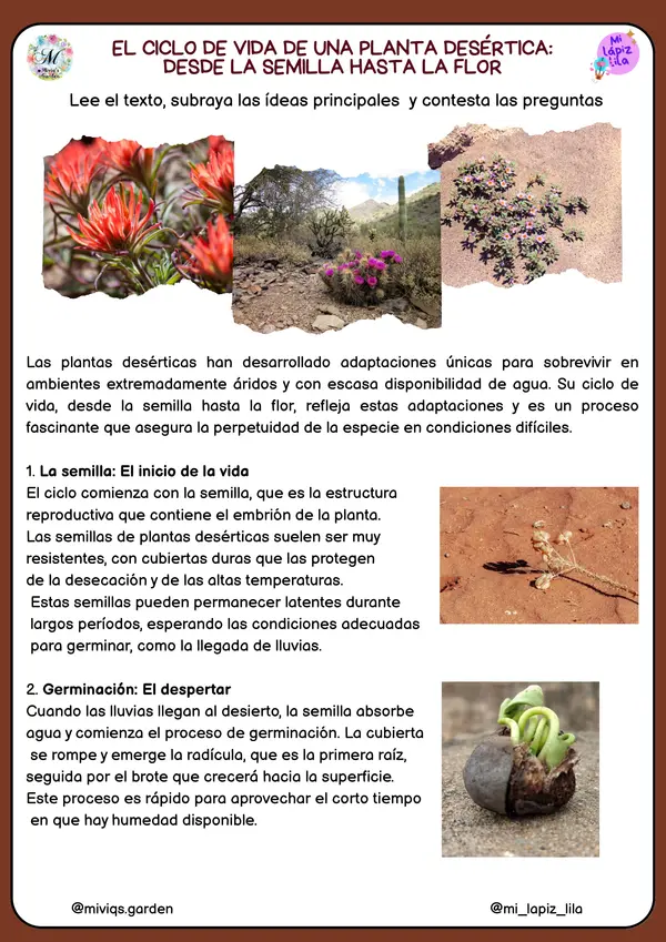 Curiosidades del Desierto (26 Textos Informativos)