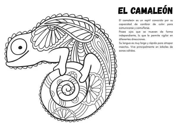 ANIMALES VERTEBRADOS PARA COLOREAR