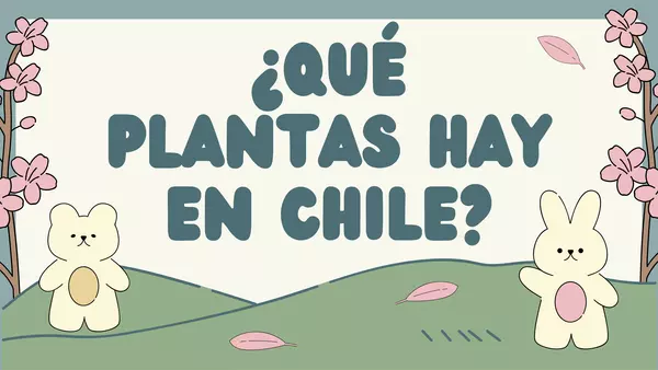 PLANTAS Y CULTIVOS AUTÓCTONOS DE CHILE