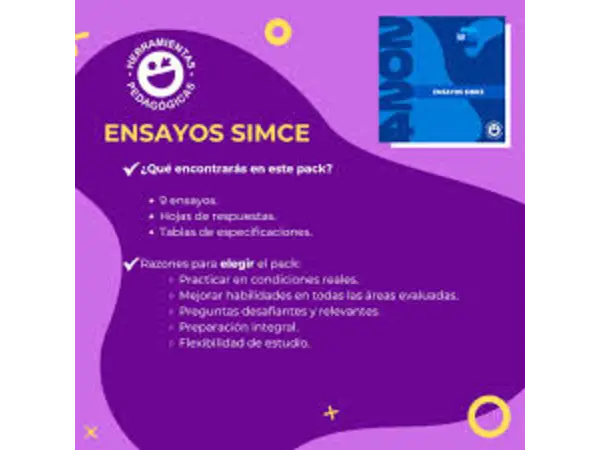 Recopilación de esnayos simce