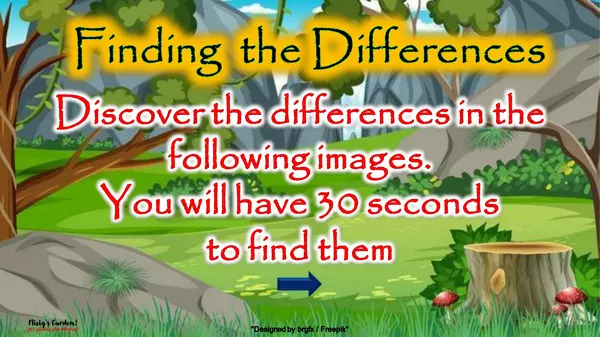 GAME: FINDING THE DIFFERENCES (wild animals)