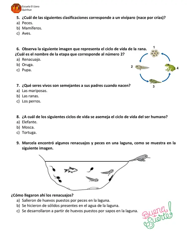 Guia El ciclo de la vida, 2° básico. 