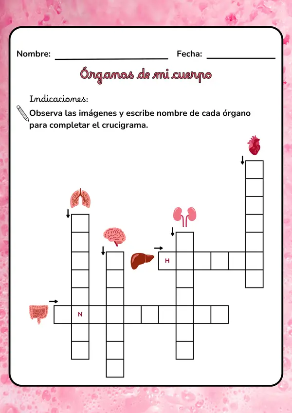 Crucigrama Órganos en mi cuerpo