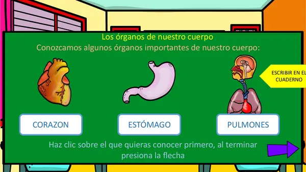 PPT órganos corazón pulmones y estómago.