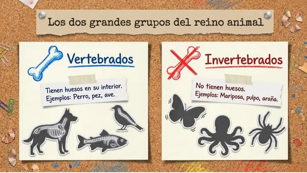 ARTES VISUALES ANIMALES VERTEBRADOS E INVERTEBRADOS 