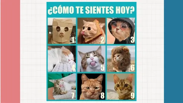 Estilos narrativos