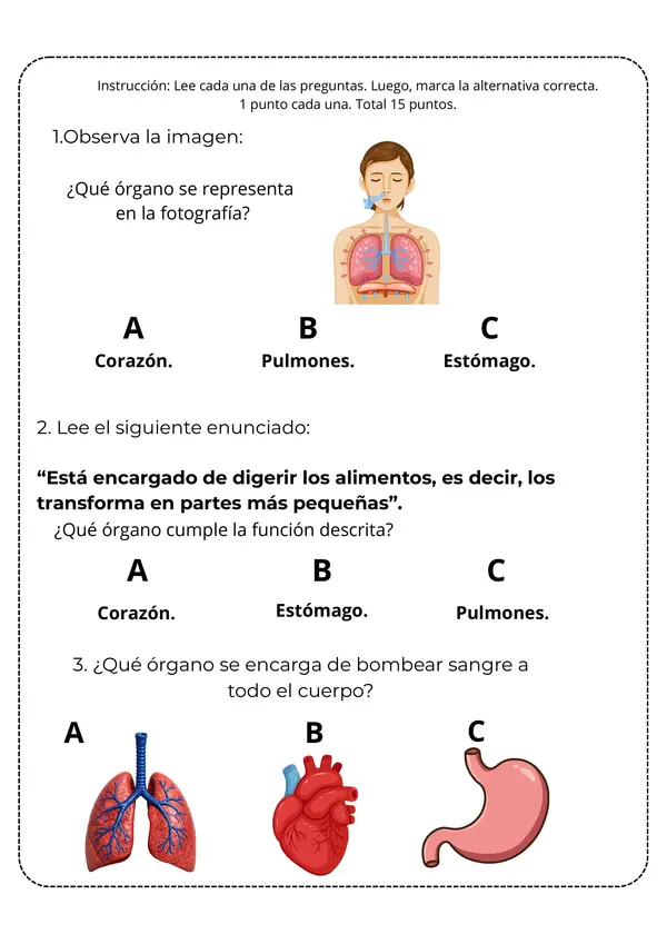 Prueba de Ciencias Naturales "Cuerpo humano y salud" segundo básico