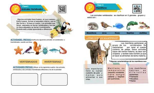 Vertebrados e invertebrados 