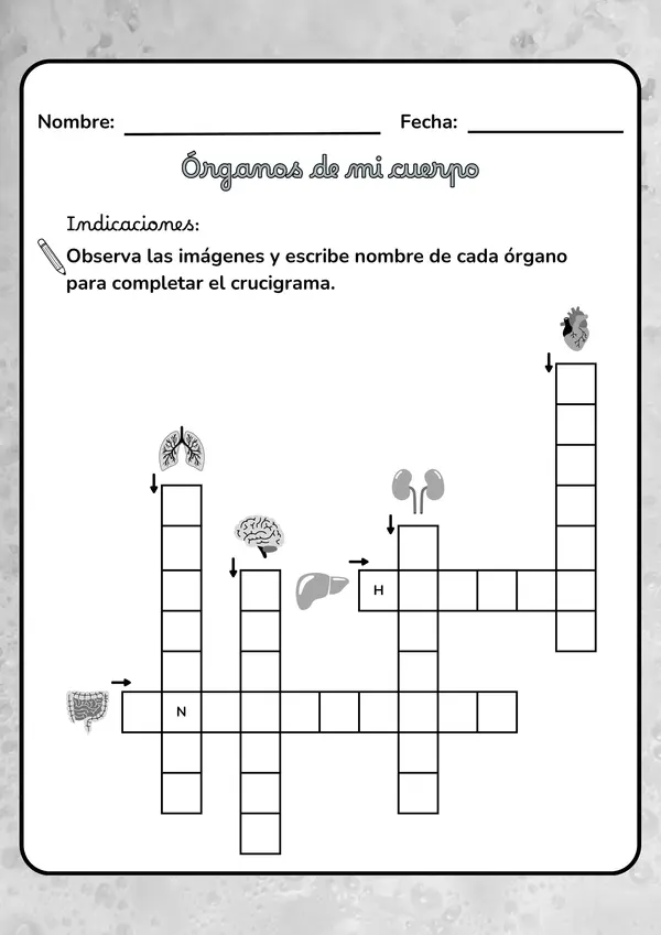 Crucigrama Órganos en mi cuerpo