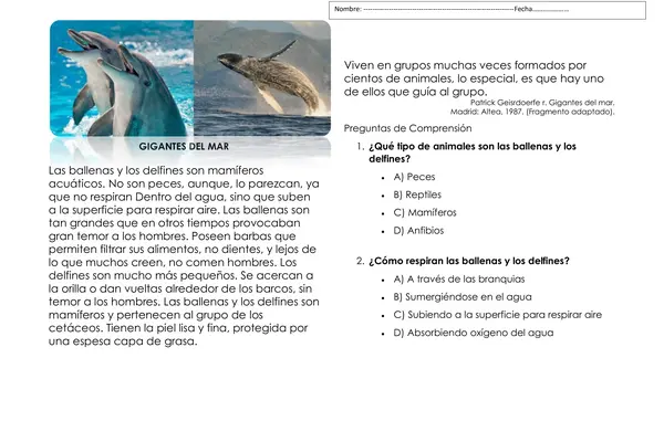 Guía editable de Texto informativo y comprensión lectora " Gigantes del mar" en Word