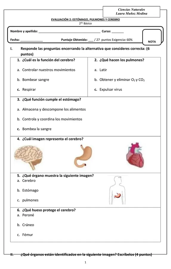 Evaluación Ciencias (estómago, cerebro, pulmones)