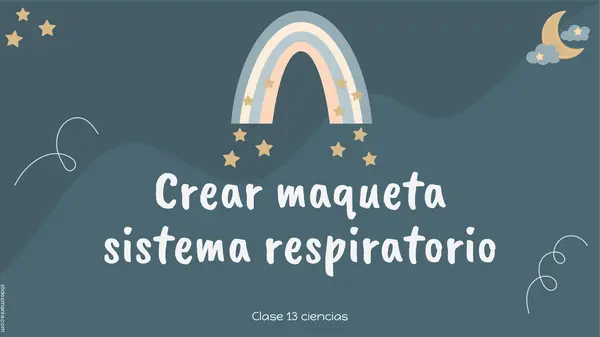 actividad maqueta sistema respiratorio 