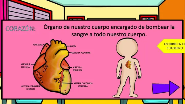 PPT órganos corazón pulmones y estómago.