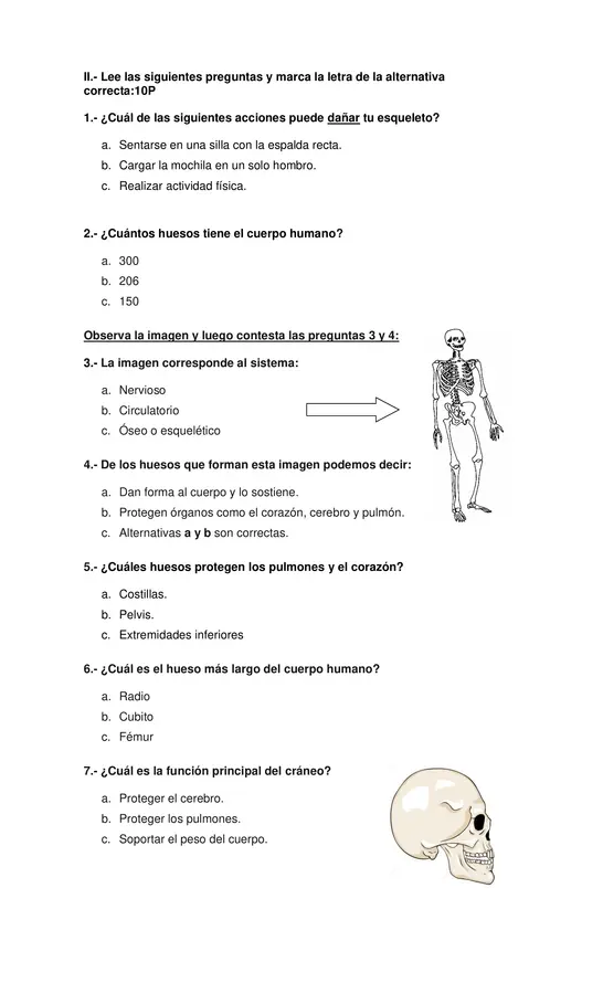 prueba sistema esqueletico