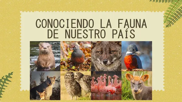 FAUNA CHILENA NT1 Y NT2