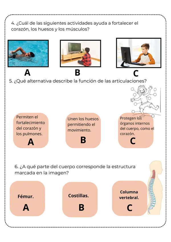 Prueba de Ciencias Naturales "Cuerpo humano y salud" segundo básico