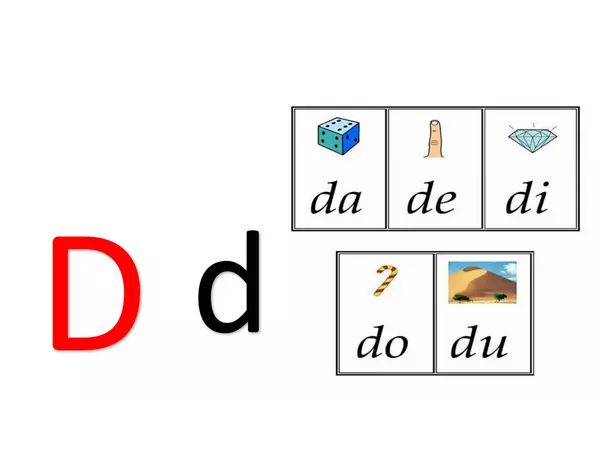 Letra D