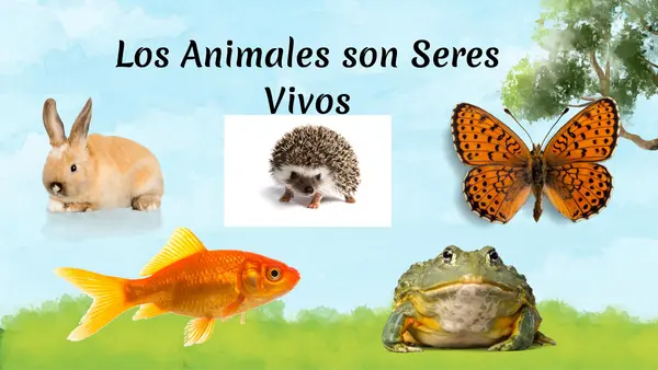 Características animales