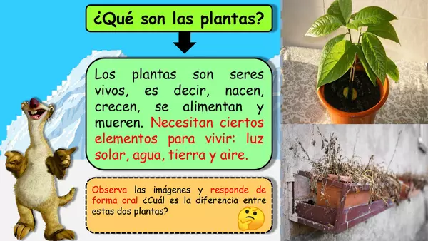 "PPT necesidades de las plantas para vivir"
