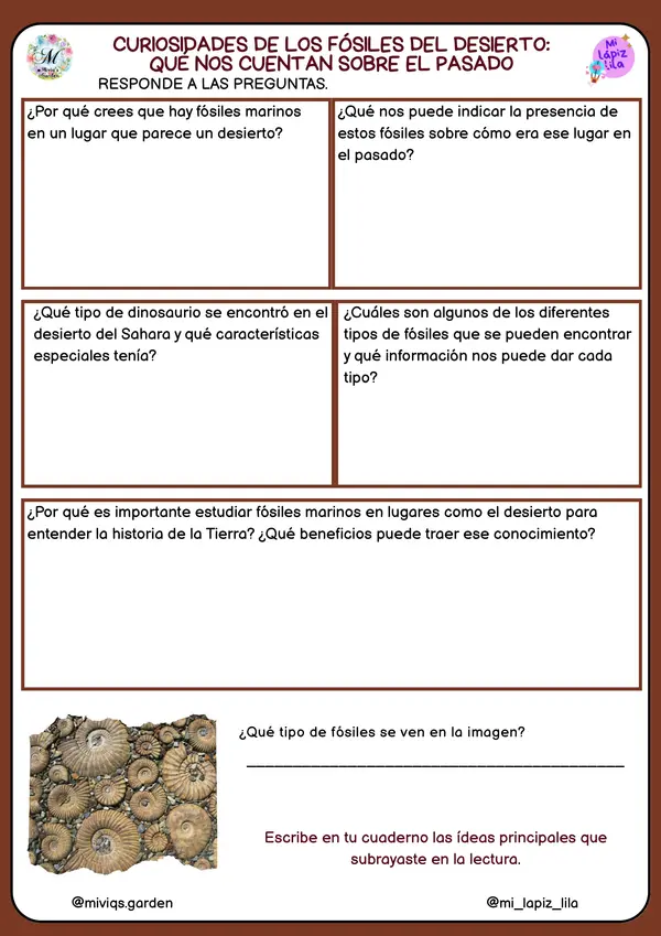 Curiosidades del Desierto (26 Textos Informativos)