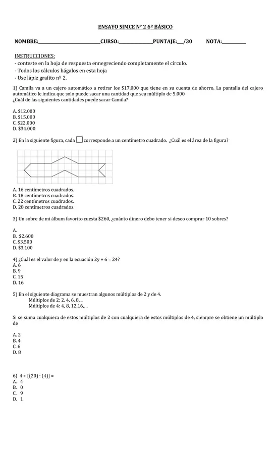 Ensayo simce 6° básico