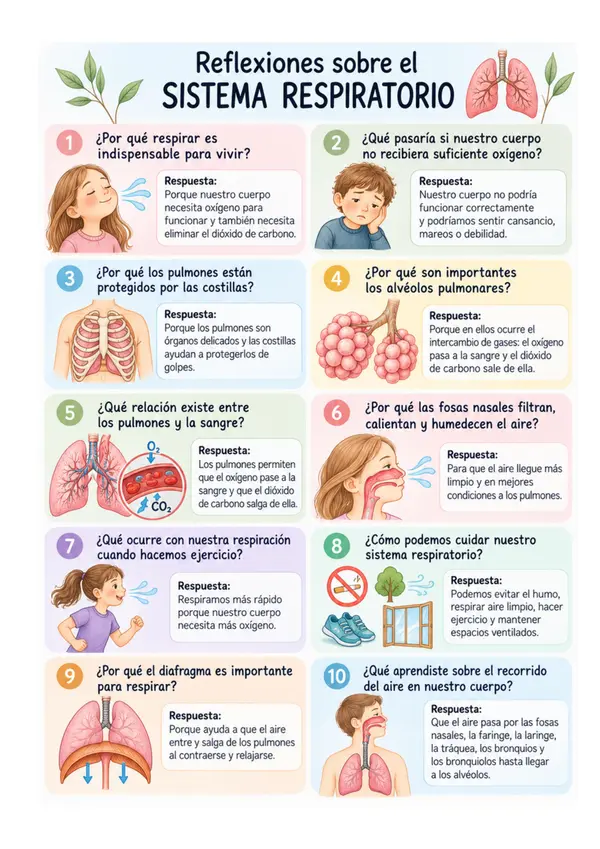 Reflexiones sobre el sistema respiratorio | Preguntas y respuestas para niños
