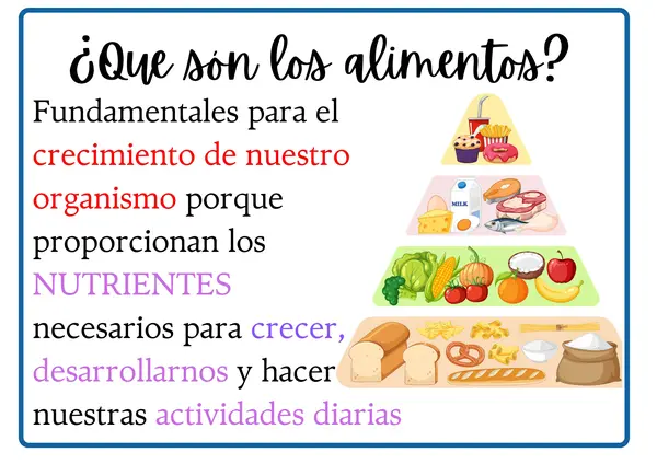Resumen de Ciencias naturales Nutrientes